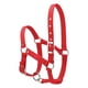 thumbnail image 3 of Collar de cabeza Irfora Collar de cabeza de caballo engrosado de 6 mm Cabezal de seguridad ajustable Brida de cabeza Irfora Collar de cabeza, 3 of 7
