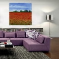 thumbnail image 5 of Epic Art 'Field of Poppies II' by Tim O'Toole, Acrylic Glass Wall Art, 36"x36", 5 of 6