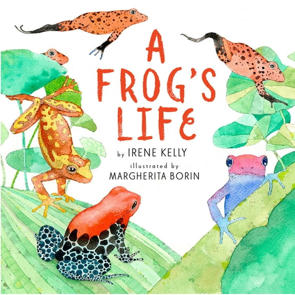 A Frog's Life, (Paperback)