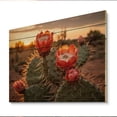 thumbnail image 2 of Designart "Red Green Cactus landscape With Sunset II" Floral Print on Natural Pine Wood, 2 of 5