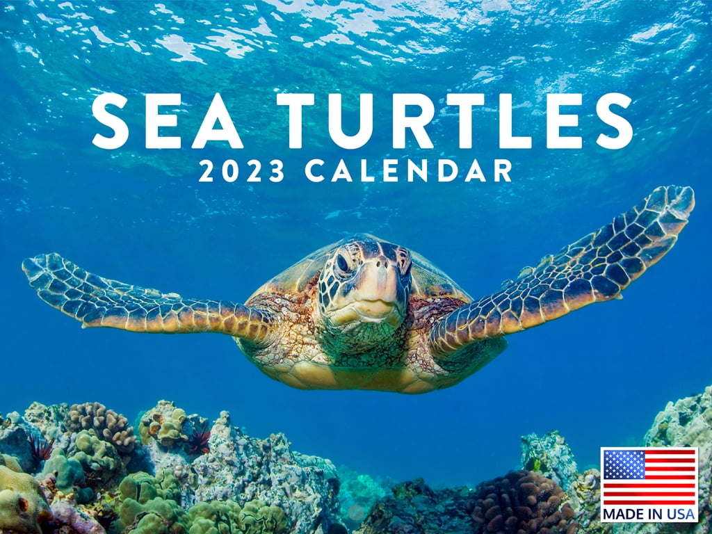 sea-turtle-calendar-2023-monthly-wall-hanging-calendar-marine-life