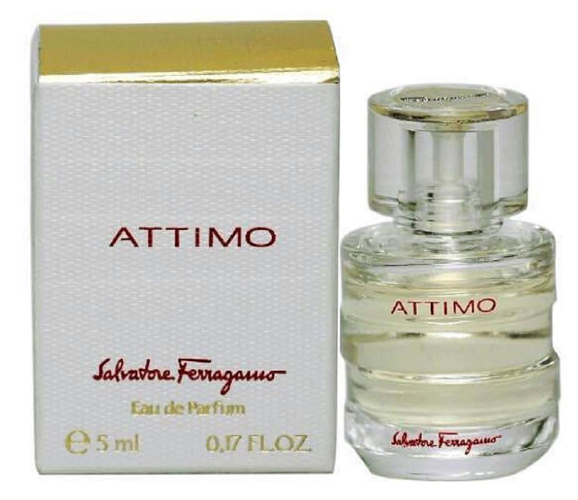 Amazon.com : Salvatore Ferragamo Dumont Attimo for Men - 1.3
