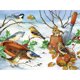 thumbnail image 1 of Taladro Diamante Pintura (DF3841) 5D DIY Completo Pájaro Bordado Mosaico Craft Kit (LD083) 50x70cm FLhrweasw Nuevo, 1 of 1