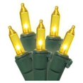 thumbnail image 1 of Vickerman Vickerman 50 Gold Mini Light on Green Wire 23' Christmas Light Strand -W5G0457, 1 of 1