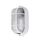 thumbnail image 4 of Oval Bulkhead Lamp With Wire Guard And Glass Diffuser, 60 W(1pcs,white, 4 of 4