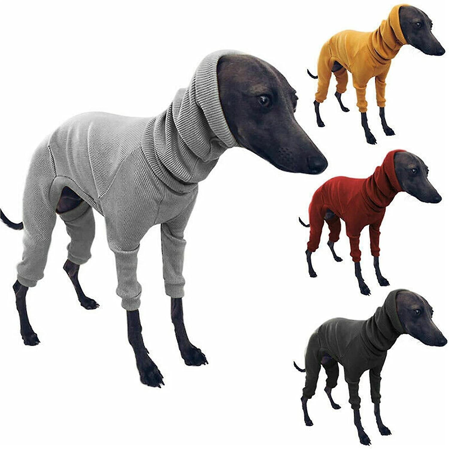 taille manteau whippet