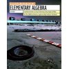 Elementary Algebra, Used [Paperback]