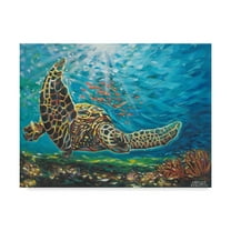 Trademark Fine Art 'Deep Sea Swimming I' Canvas Art by Carolee Vitaletti