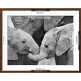 thumbnail image 5 of Art.com African Elephant Calves (Loxodonta Africana) Holding Trunks, Tanzania Photographic Print, Brown Frame Wall Art, 29" x 23", 5 of 5