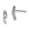 Primal Silver Sterling Silver Cubic Zirconia Post Earrings