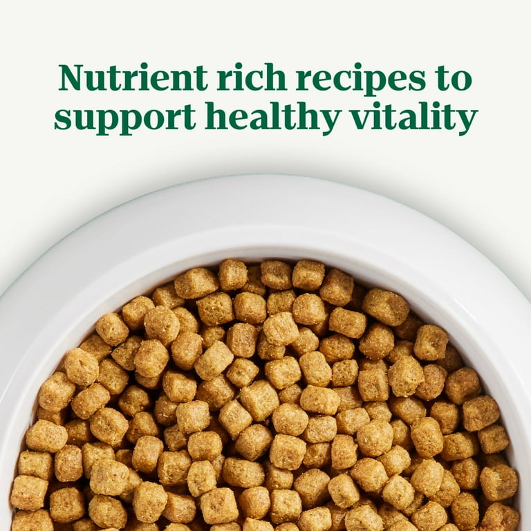 dry dog nutro grain free senior dog food