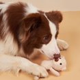 thumbnail image 3 of Mini Bear Stuffed Doll Pet Chewing Toy, Pet Anxiety Relief And Calming Aid For Dogs And Cats, 3 of 4