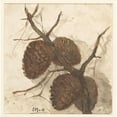 thumbnail image 3 of Sientje Mesdag Van Houten 12x12 Black Modern Framed Museum Art Print Titled - Sparappels on a Branch (1844 - 1909), 3 of 5