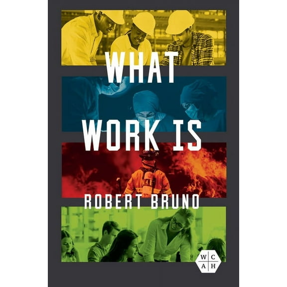 Working Class in American History What Work Is, (Paperback)
