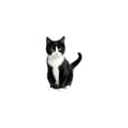 thumbnail image 1 of Cute Cat Car Diffuser Clip - 2D Flat Design with Aromatic Scent for Fresh Air Vent, 1 of 6