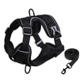 thumbnail image 2 of PayUSD Dog Harness with Leash Cat Harness No Pull Adjustable No Choke Pet Vest for Small Dogs Cats, 2 of 9