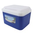 thumbnail image 1 of Nevera Portátil 5L EPS Espesado Límite Fuerte Absorción de Golpes Nevera de Comida Ensanchable Limpieza Rápida Alta Capacidad de Carga Nevera de Picnic para Camping Pesca ANGGREK Otros, 1 of 8