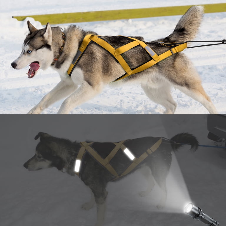 siberian husky harness best harness for malamute