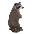 thumbnail image 4 of Hi-Line Gift Ltd. Standing Raccoon Statue, 4 of 6