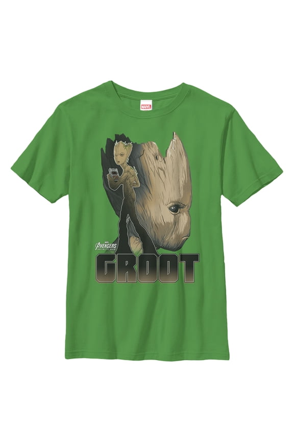 Boy's Marvel Avengers: Infinity War Groot Portrait Graphic Tee Kelly Green Medium