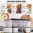 thumbnail image 4 of VEVOR Food Dehydrator Machine, 5-Tray Fruit Dehydrator, 300W Electric Food Dryer w/ Digital Adjustable Timer & Temperature for Jerky, Herb, Meat, Beef, Fruit, Dog Treats and Vegetables, ETL Listed, 4 of 9