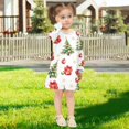 thumbnail image 5 of Girls' long-sleeved dress Snowflake Christmas Tree Girls' A-line dress with ribbed cuffs Soft and comfortable, 5 of 6
