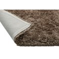 thumbnail image 5 of Chesapeake Microfiber Polyester Shag Taupe Oreo Area Rug (5'x7'), 5 of 6
