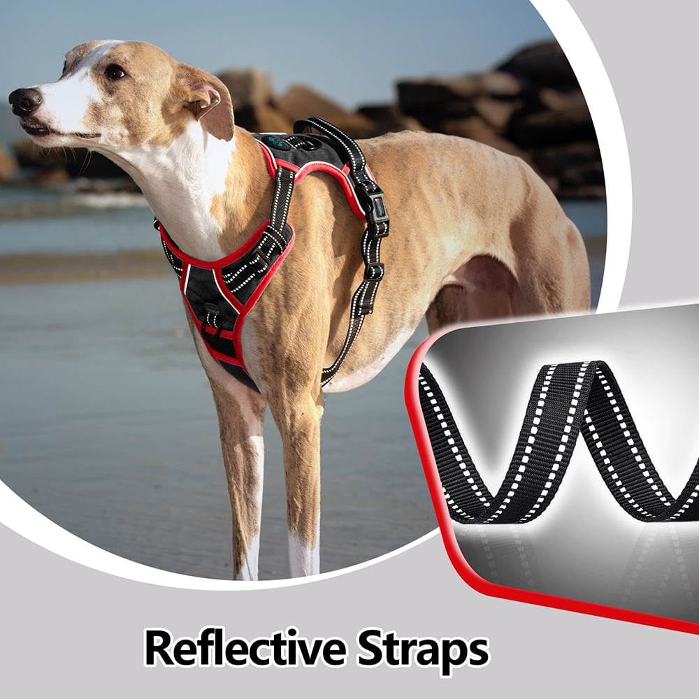 PHOEPET 2019 Upgraded No Pull Dog Harness, Reflective Adjustable Vest, with a Training Handle + 2 Metal Leash Hooks+ 3 Snap Buckles +4 Slide Buckles
