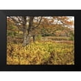thumbnail image 2 of Head, Danny 24x18 Black Modern Framed Museum Art Print Titled - Maples and Ferns, 2 of 5
