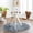 Light Gray, Charcoal, Blue / Nisula, variant on Hauteloom Gali Living Room, Bedroom Area Rug - Traditional - Cream, Light Brown, Dark Brown - 4'3" x 5'7"