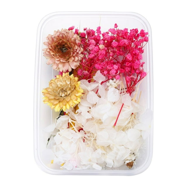 TIELUTT 1 Vraie Fleur Séchée Garnitures en Résine Fleurs en Pot Fleurs d'Automne Fleur Suspendue pour Extérieur Choux Roses Fleurs Fleurs pour Extérieur