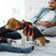 thumbnail image 4 of NUOLUX Ropa De Divertida Para Perros Y Con Ajuste Cómodo Y Fácil Uso, 4 of 8