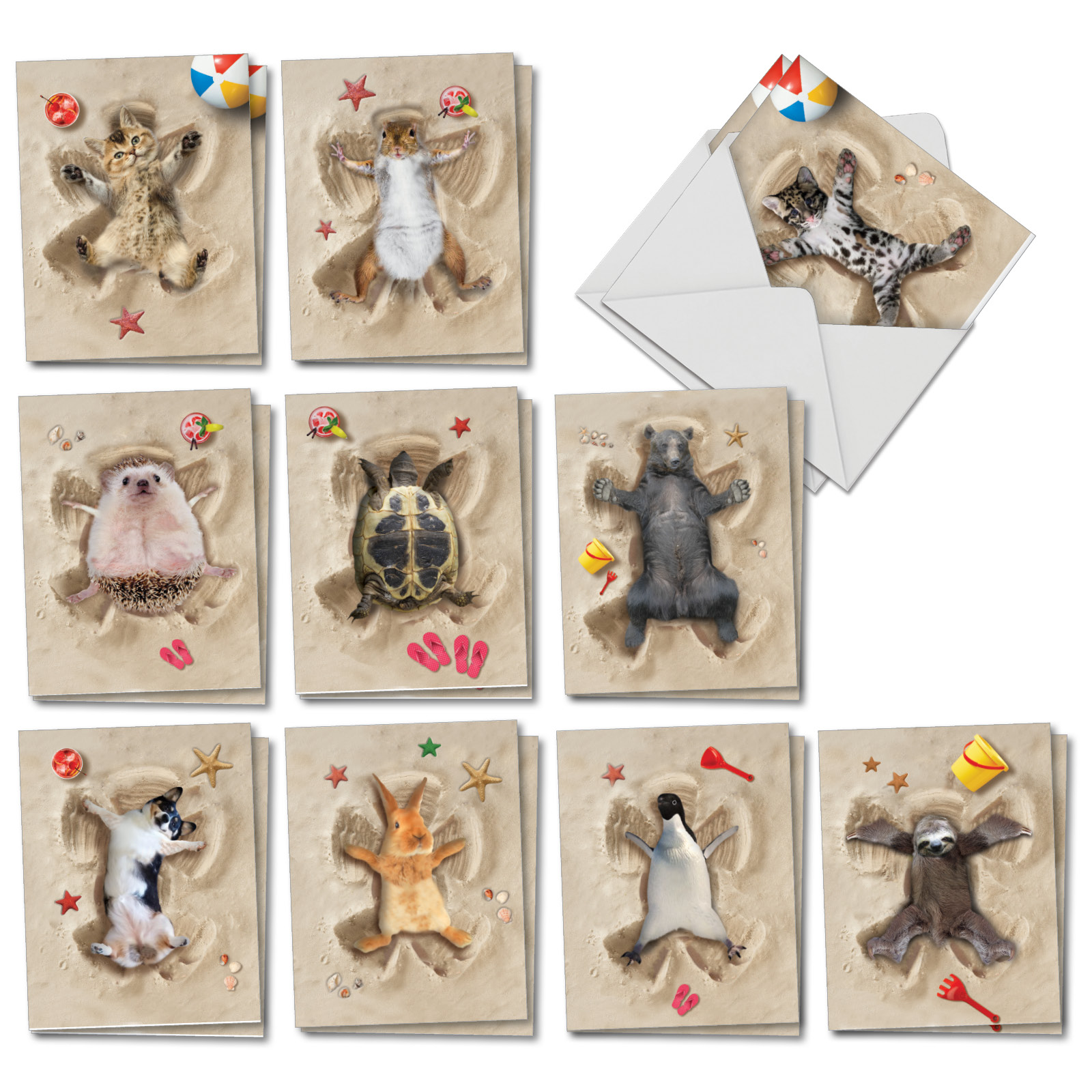 20 Funny Blank Animal Note Cards 4 X 5 12 Inch Boxed All Occasion 20 Funny Blank Animal Note Cards 4 X 5 12 Inch Boxed All Occasion