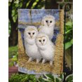 thumbnail image 3 of Carolines Treasures ASA2076GF Barn Owl Chicks Flag Garden Size, 3 of 3
