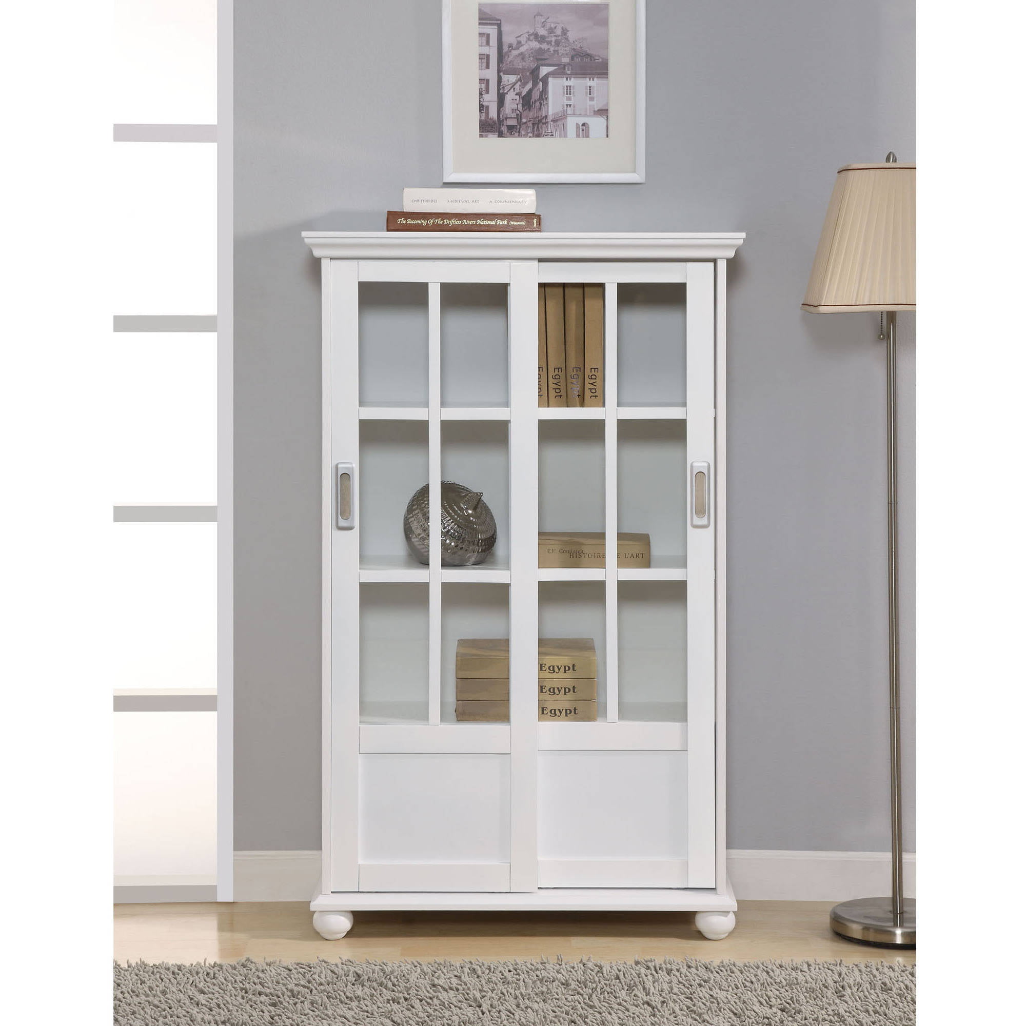 Ameriwood Home Aaron Lane Bookcase With, Oxford Bookcase With Glass Doors