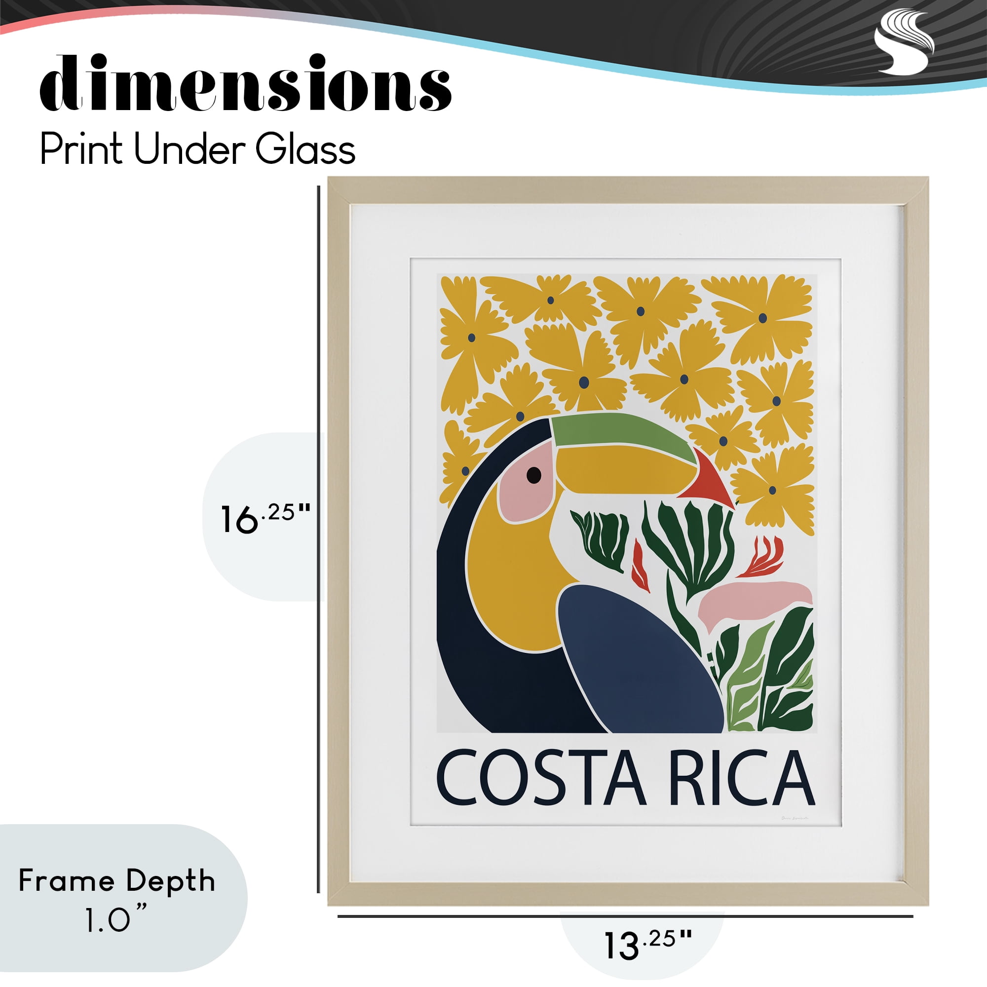 Stupell Industries Tropical Toucan & Flowers Birch Framed Print Under Glass, design by Omar Escalante