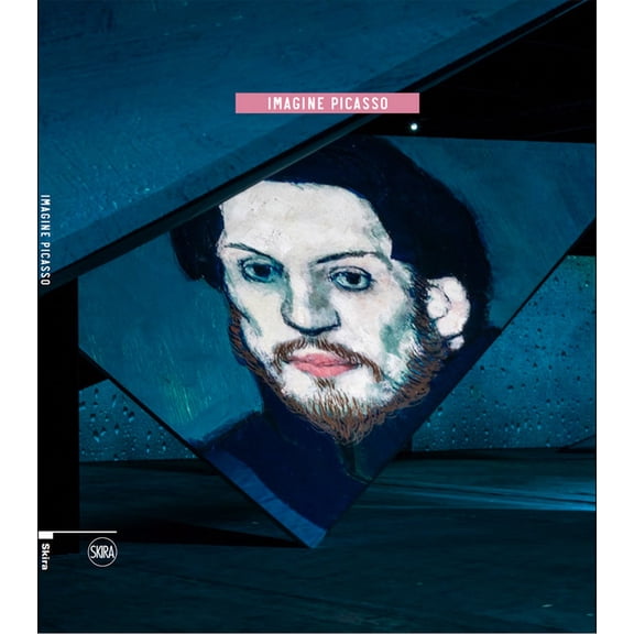 Imagine Picasso, (Paperback)