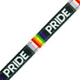 thumbnail image 2 of Country Brook Design® 5/8 inch Pride Reflective Polyester Webbing, 20 Yards, 2 of 5