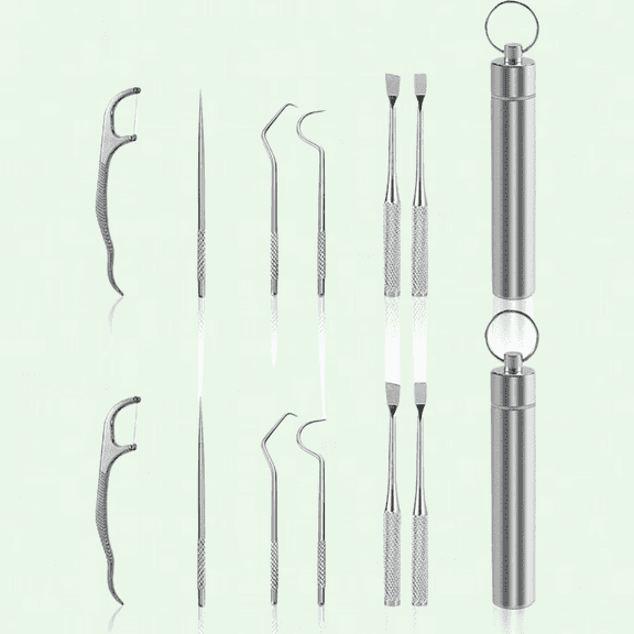 Portable Metal Toothpicks Set of 14, Stainless Steel Tartar Removing Teeth Pick with Keychain