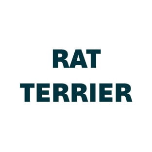 Rat Terrier Pill Butter