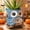 Blue, variant on Quoowiit 4.9" x 5.1" x 4.5" Resin Blue Owl Rocking Chair Plant Pot with Drainage Holes