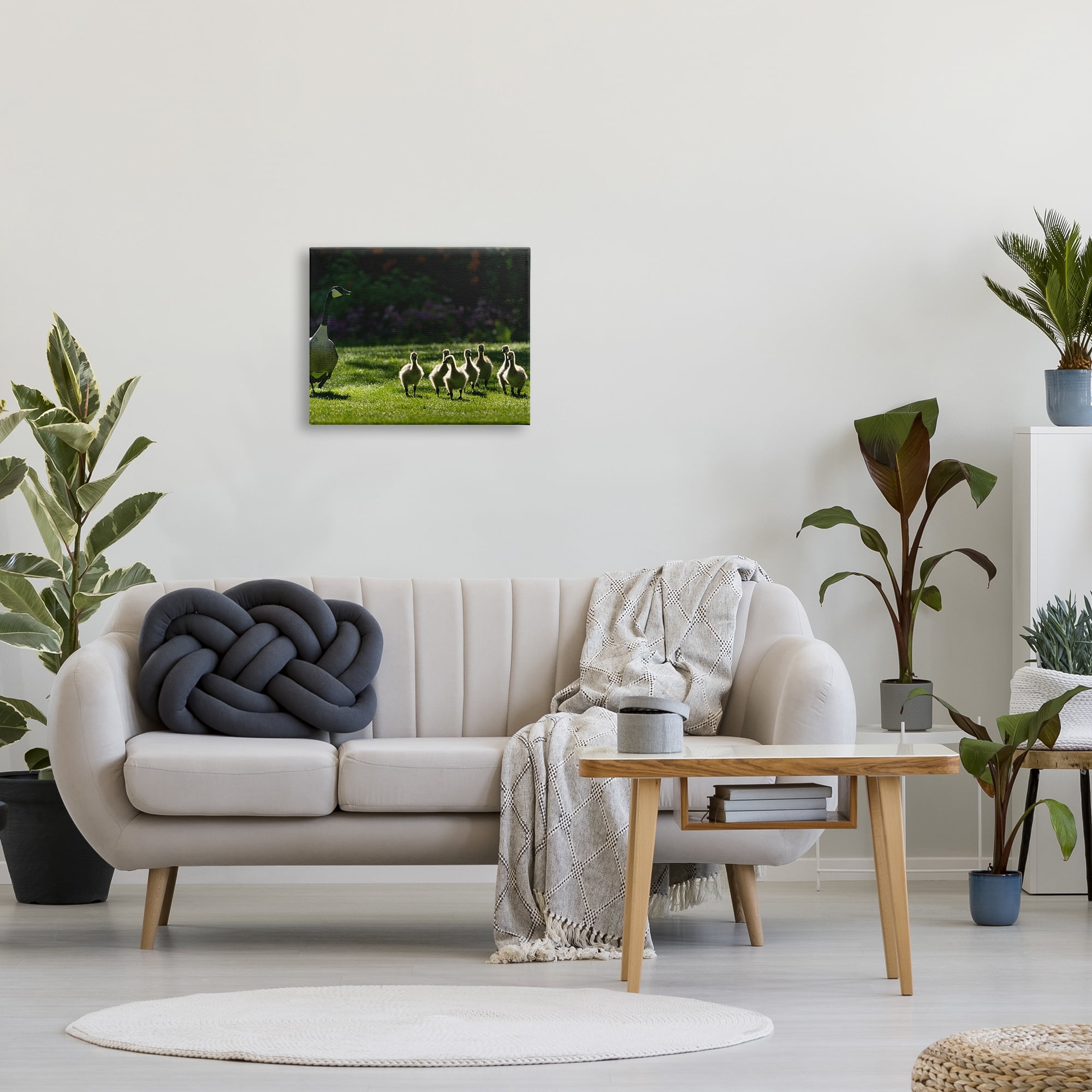 Stupell Industries Goose Family Photography Animals & Insects Photography Gallery Wrapped Canvas Print Wall Art, 20 x 16
