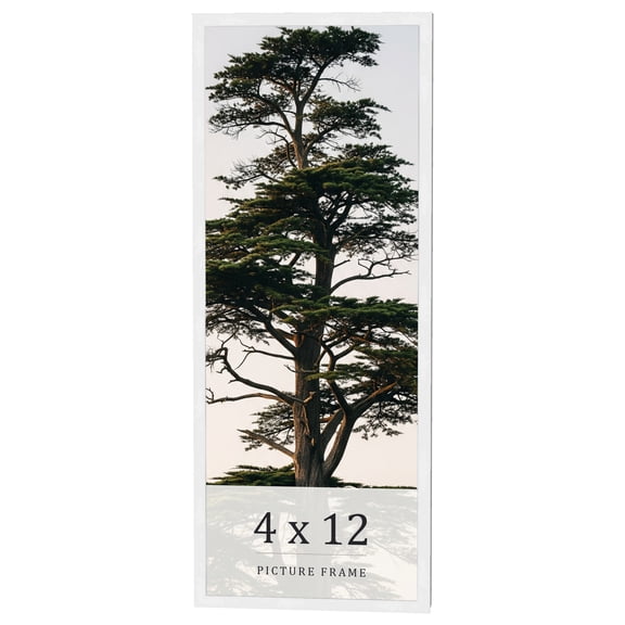 4x12 In Frame White Real Wood Picture Frame Width 0.75 inches | Interior Frame Depth 0.5 inches |