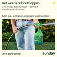 thumbnail image 2 of Sunday Weed & Green - for Lawns Pre-Emergent Post-Emergent Killer Spray Includes Hose-End Sprayer Crabgrass, Broadleaf Weeds Lawn Diseases Covers 1,250 sq ft 32 oz, 2 of 5
