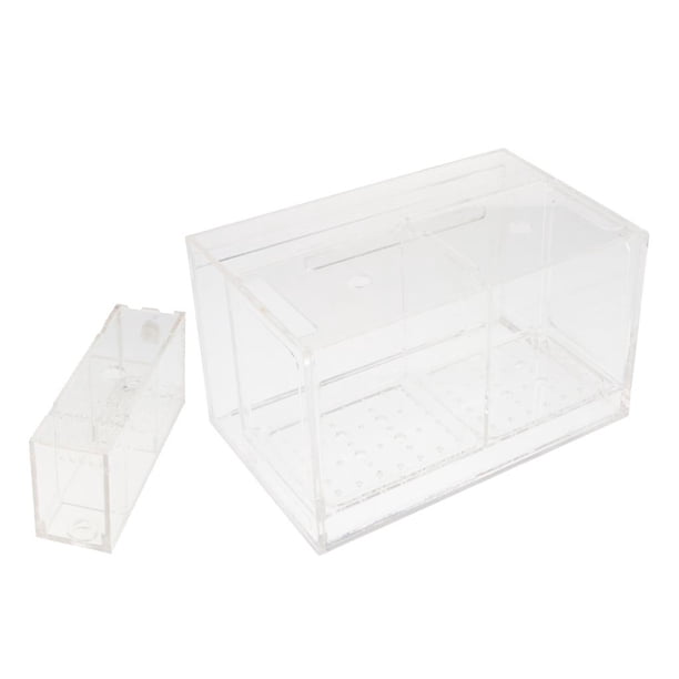 de para es de de acuario, aislador de caja (blanco, dos rejillas / 2 cuadrícula Yuyangstore Tanque de aislamiento de acuario