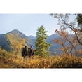 thumbnail image 4 of Teton Explorer 4000 Backpack, 4 of 8