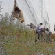 thumbnail image 1 of Bird Catcher Net Pond Net Fishing Net Crops Fruit Tree Vegetables Flower, 1 of 3
