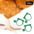 thumbnail image 3 of 100 Anillos Reutilizables para Patas de Aves de Pollo, Bandas para Patas de Aves Verde Yuyangstore Anillos de pierna de paloma, 3 of 7
