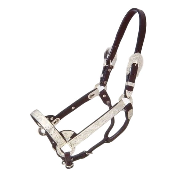 Tough 1 Halter Royal King Silver Bar Show Large Mini Dark Oil 18-82
