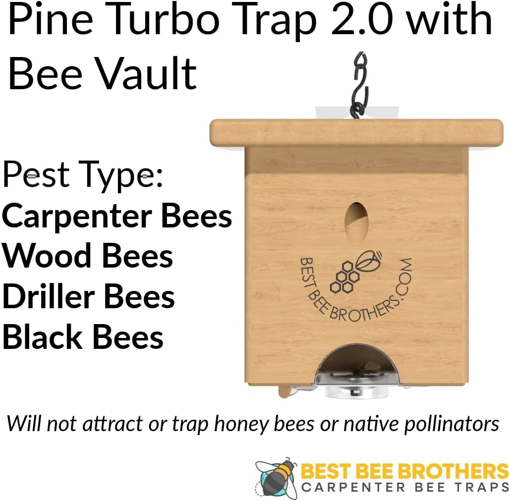 WLTER Pine Turbo Trap, Professional-Grade Carpenter Bee Trap for Outside with Bee Vault & Internal Turbo Funnel, 6.3” W x 6” H x 5” D (2 Pack)